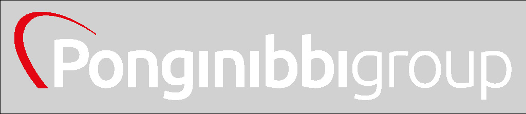 Logo Ponginibbi Group