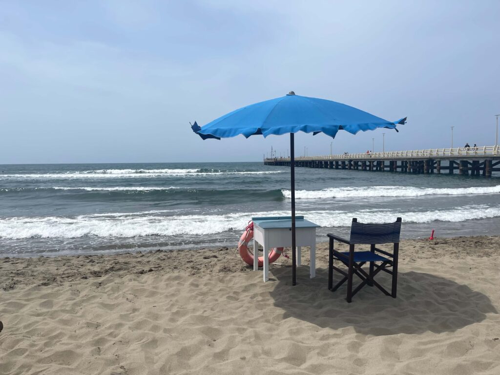 Summer Break 2022